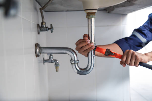 Best Plumbing Inspection Services  in Caledonia, MS